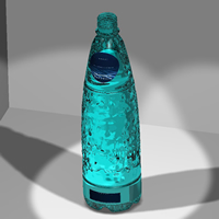 blow mould pet bottle